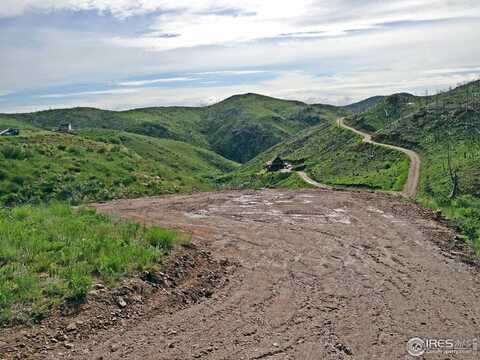 84 Carson Peak Ct, Livermore, CO 80536