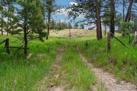 620 Davis Ranch Rd, Bellvue, CO 80512