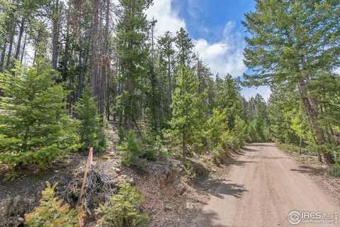 0 Lost Cabin Trl, Evergreen, CO 80439