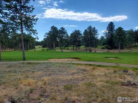 3031 Lake Arapahoe Ct, Red Feather Lakes, CO 80545