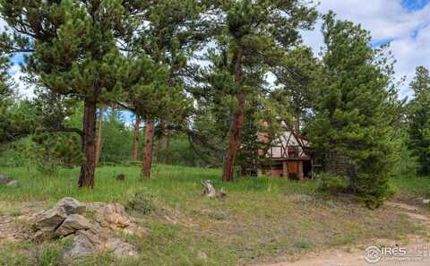 1569 County Road 103, Nederland, CO 80466