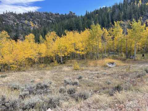 53 Ada Ct, Red Feather Lakes, CO 80545