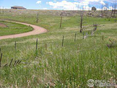 64 Bobcat Mountain Ct, Livermore, CO 80536