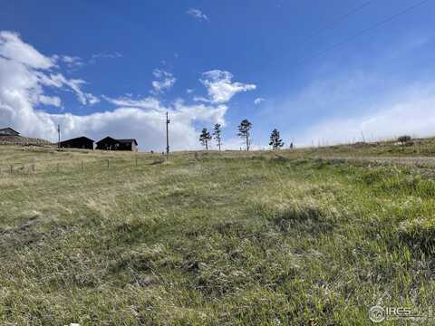 64 Bobcat Mountain Ct, Livermore, CO 80536