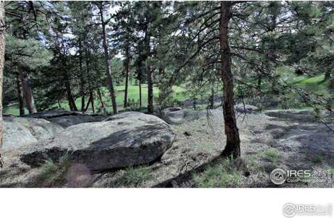 530 Fox Acres Dr W, Red Feather Lakes, CO 80545