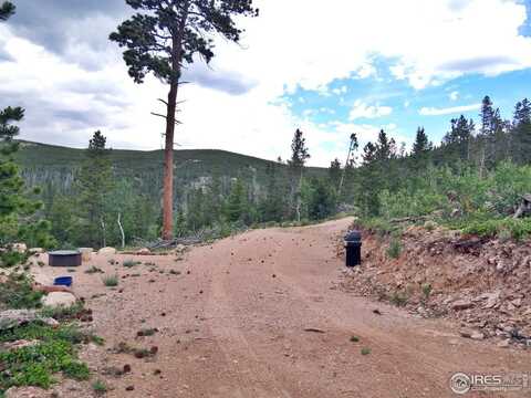 1601 Osage Trl, Red Feather Lakes, CO 80545