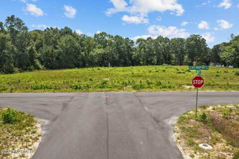 408 Red Drum Way W, Swansboro, NC 28584