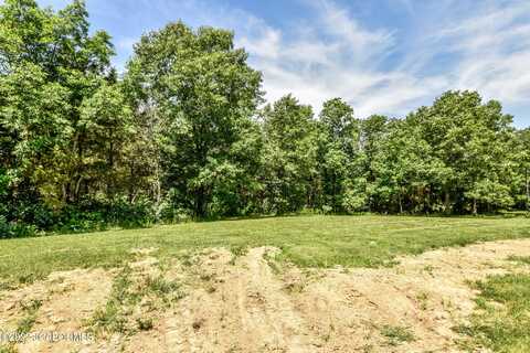 10 THE BLUFFS, Holts Summit, MO 65043