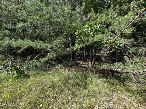 Flats Rd, Tallassee, TN 37878