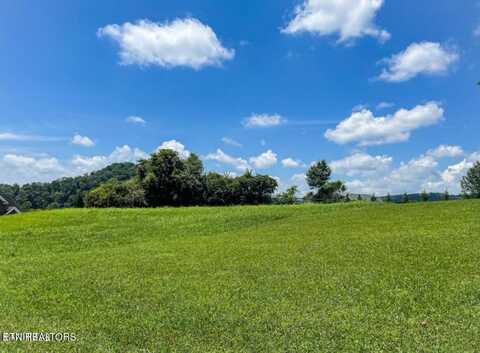 Whirlwind Point Lot#17 Lane, Clinton, TN 37716