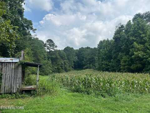 Lot 17 Pleasant View Cemetery Road, New Market, TN 37820