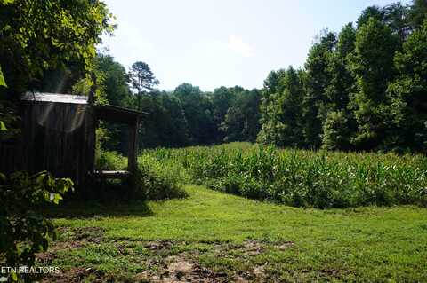 Lot 17 Pleasant View Cemetery Road, New Market, TN 37820