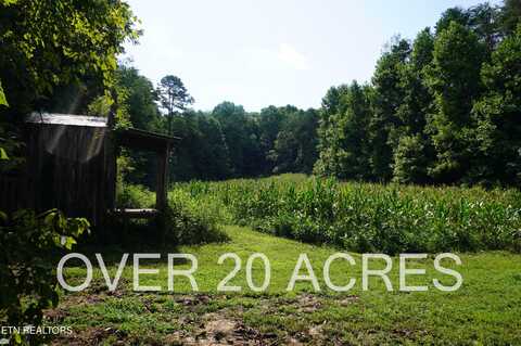 Lot 17 Pleasant View Cemetery Road, New Market, TN 37820