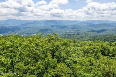 Lot 3 Tower Rd, Sevierville, TN 37876