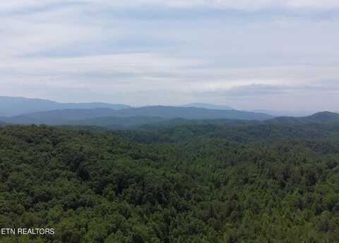 Wilhite Rd, Sevierville, TN 37876