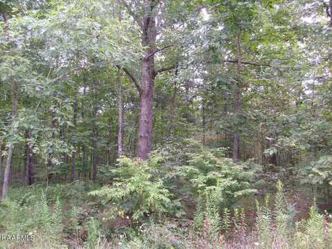 2023 Coweta Drive, Crossville, TN 38572