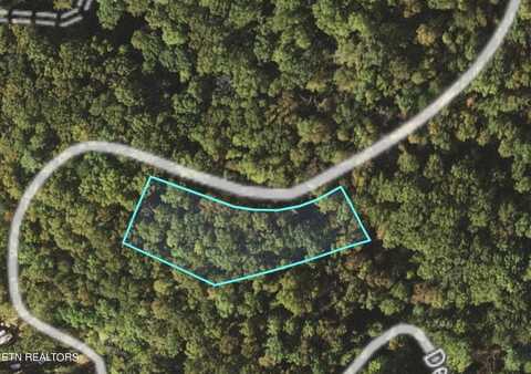 Lot193&201 Deerfoot Rd, Cosby, TN 37722