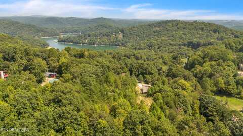 Shady Cove Rd, Caryville, TN 37714