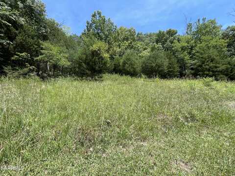 102 Lakeshore Way, Newport, TN 37821