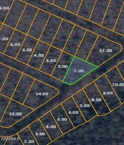 Lot 123 Tuskegee Tr, Crab Orchard, TN 37723