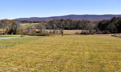 Lot 55 Shadow Mountain Drive, Crossville, TN 38572