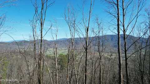 Lot 11 McGill Rd, Sevierville, TN 37862