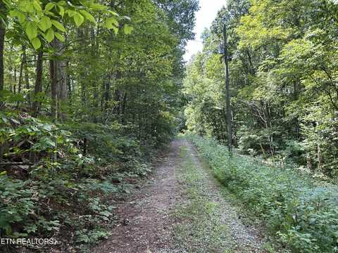 Pearl Ln Lot 25 Lane, Maynardville, TN 37807