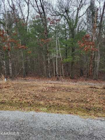 13 Dovecote Terrace, Crossville, TN 38558