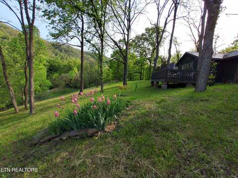 1434 HEDDEN Way, Thorn Hill, TN 37881