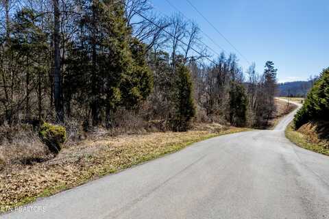 Lot #44 Old Leadmine Bend Rd, Sharps Chapel, TN 37866