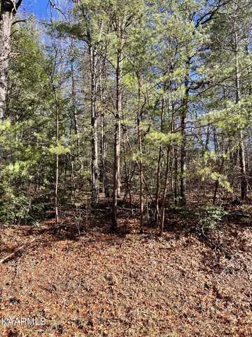119 Natchez Circle, Crossville, TN 38558