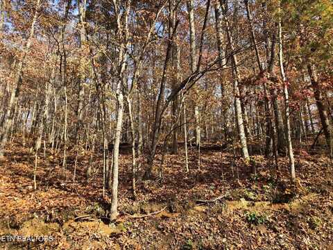 Lot 52 Harbor Lane, La Follette, TN 37766