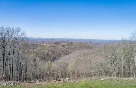 38.8 Ac Anderson Rd, Byrdstown, TN 38549