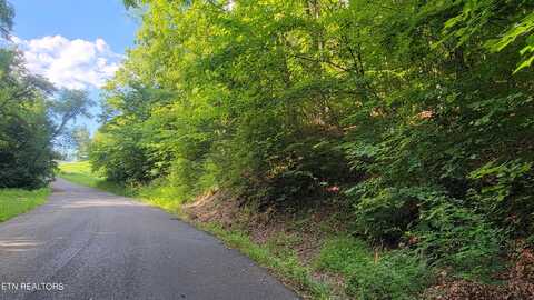 Lakeshore Dr (Lot 36) Way, Newport, TN 37821