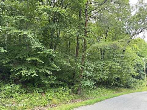 Cove Norris Rd, Caryville, TN 37714