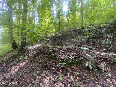 Lot 64 Hiwassee View Drive, Jacksboro, TN 37757