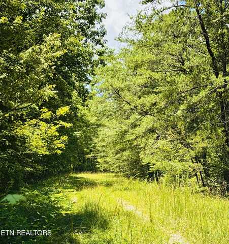 117 Greenwell Rd, Crossville, TN 38558