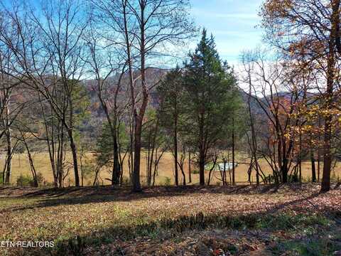 2529 Dry Valley Rd, Thorn Hill, TN 37881