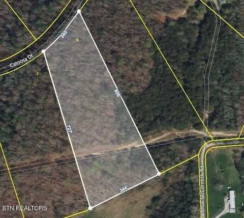 Catoosa Woods Drive, Lancing, TN 37770