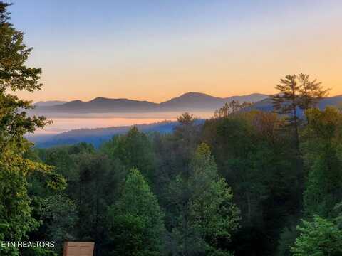 Old Cades Cove Rd, Townsend, TN 37882