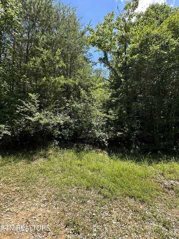 Bear Rd, Tallassee, TN 37878