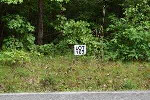 Lot 103 Halfmoon Shores Drive, Ten Mile, TN 37880