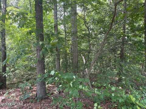 Lot 19 Somerset Lane, Sevierville, TN 37862