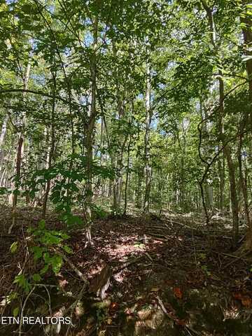 Hueston Wood Lane, Speedwell, TN 37870