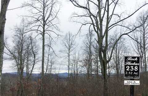 Lot 238 Tanzanite, New Tazewell, TN 37825