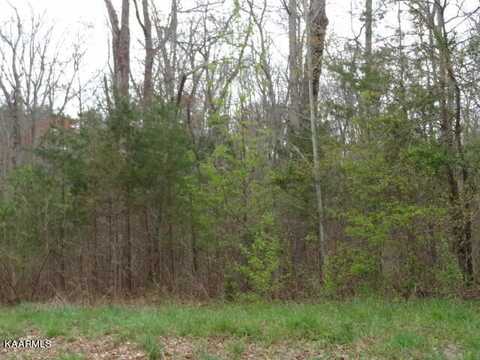 York Lane, Crossville, TN 38555