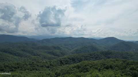 118e Settlers View Lane, Sevierville, TN 37862