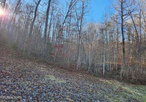 Lot 129 Suncrest Cove, La Follette, TN 37766