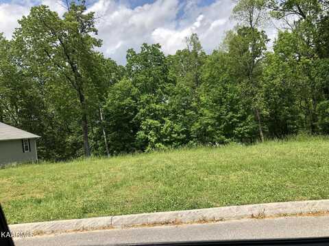 Forest Cove Court, Jacksboro, TN 37757