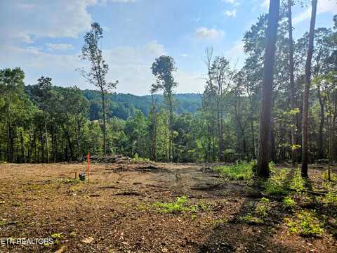 Brewer Lane Lot 2, Andersonville, TN 37705